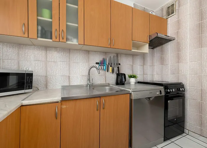 Spacious Narutowicza In Perfect For Remote Work By Renters Cracovia