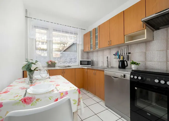 아파트 Spacious Narutowicza In Perfect For Remote Work By Renters 크라쿠프