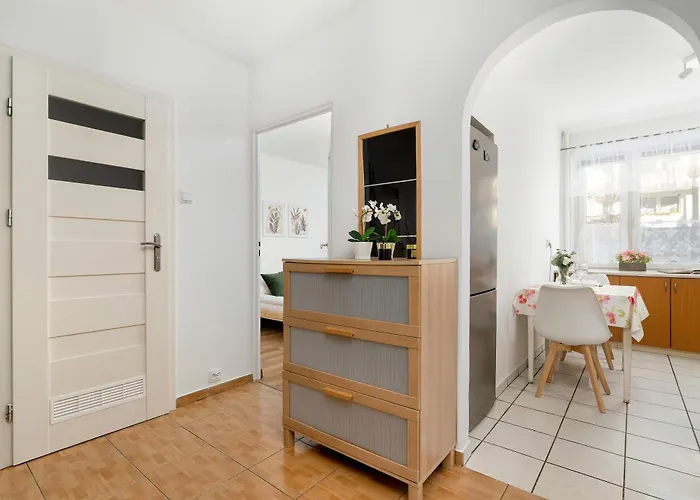 Spacious Narutowicza In Perfect For Remote Work By Renters *